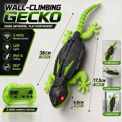 Wall Gecko 🦎 Lucertola rampicante virale con radiocomando